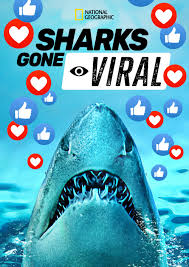 Sharks Gone Viral